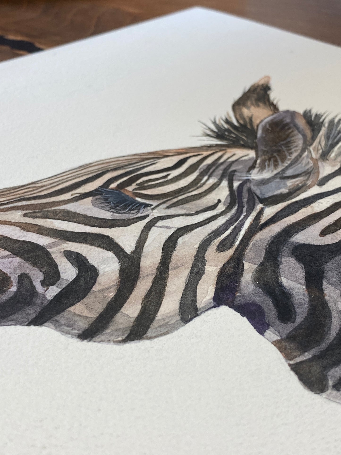 Zebra Original Watercolour Painting