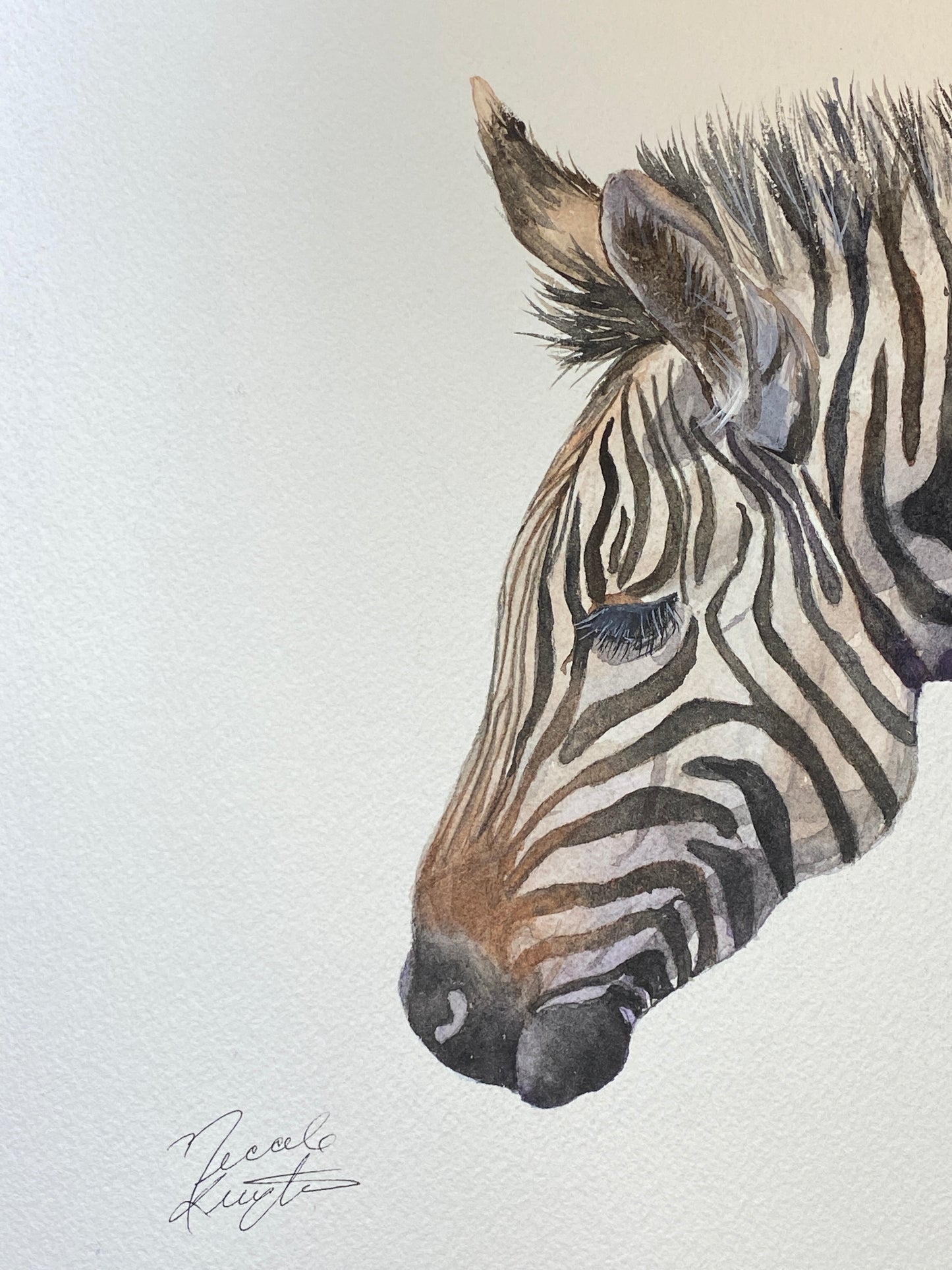 Zebra Original Watercolour Painting