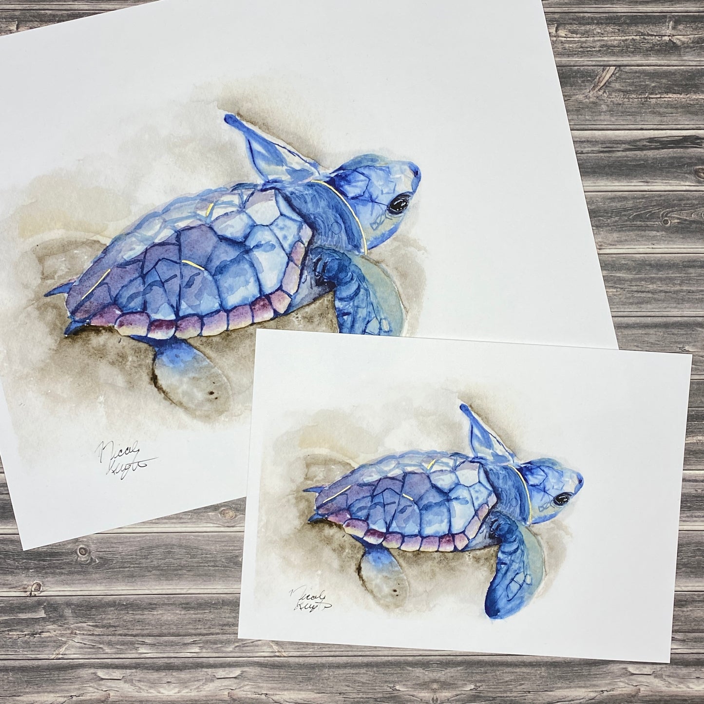 Baby Sea Turtle in Sand - Art Print