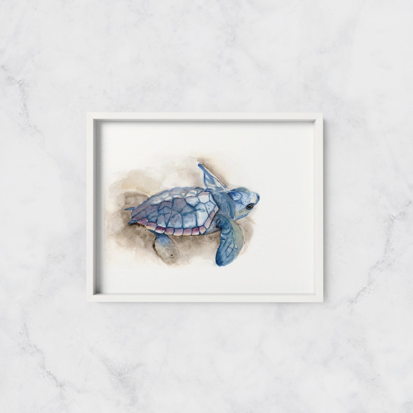 Baby Sea Turtle in Sand - Art Print