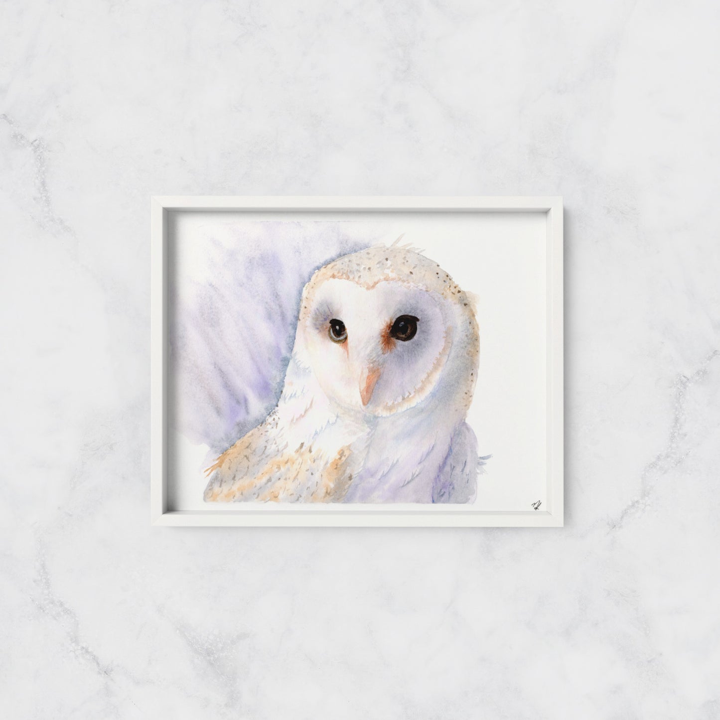 Barn Owl - Print