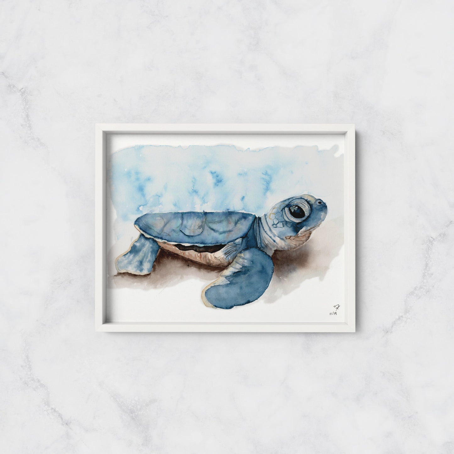 Baby Sea Turtle Print
