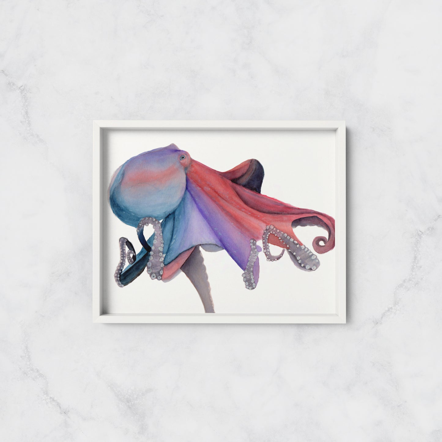 Octopus in Watercolour Art Print