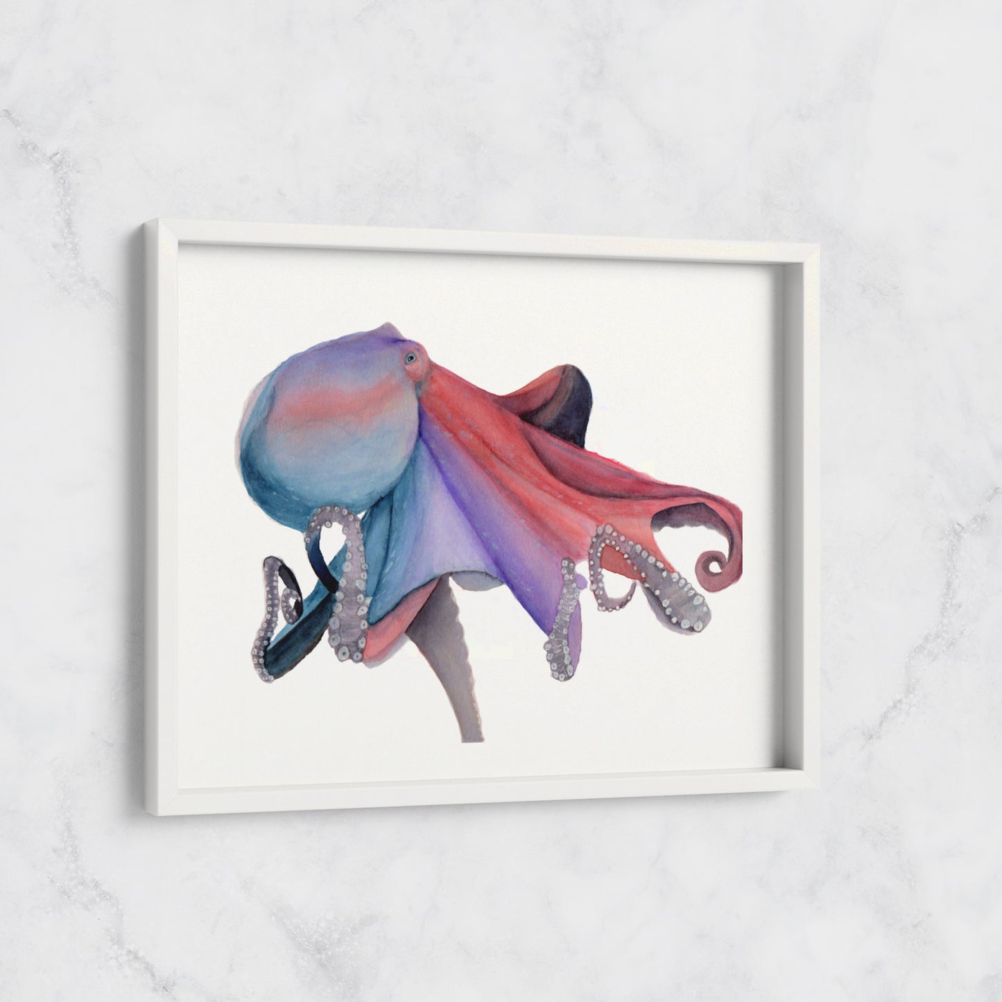Octopus in Watercolour Art Print