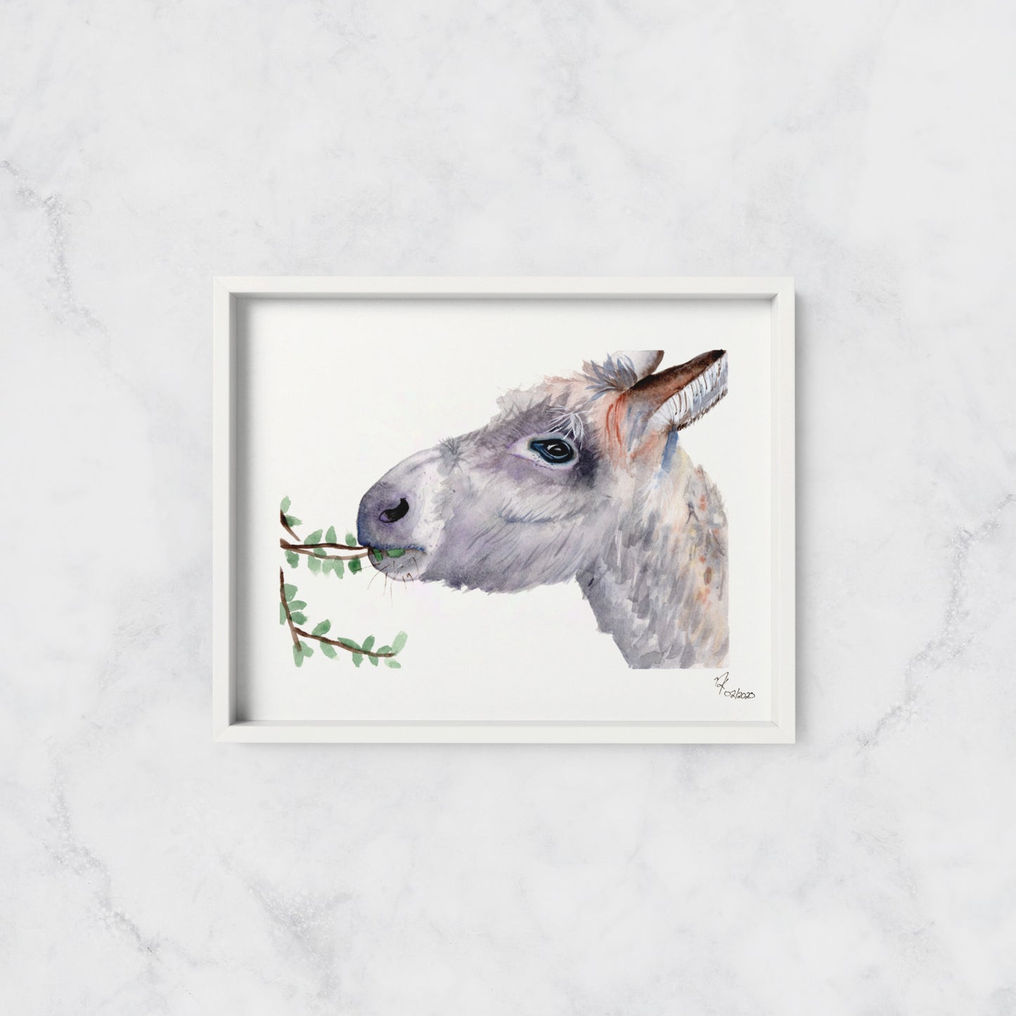 Donkey - Print