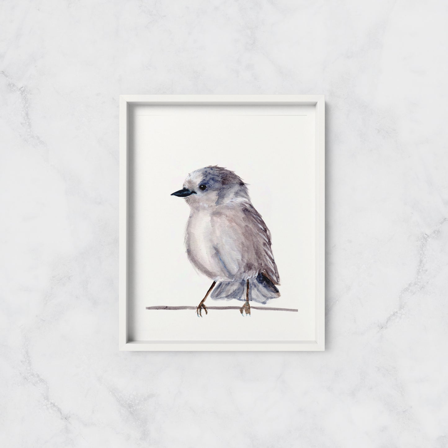 Grey Jay - Art Print