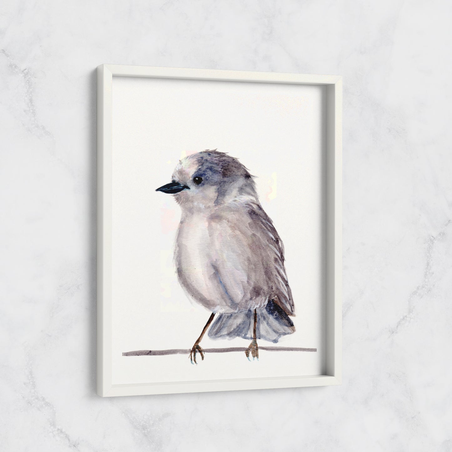 Grey Jay - Art Print