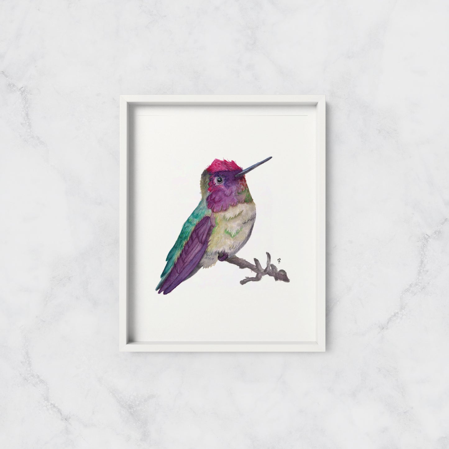 "Anna's Hummingbird" - Print