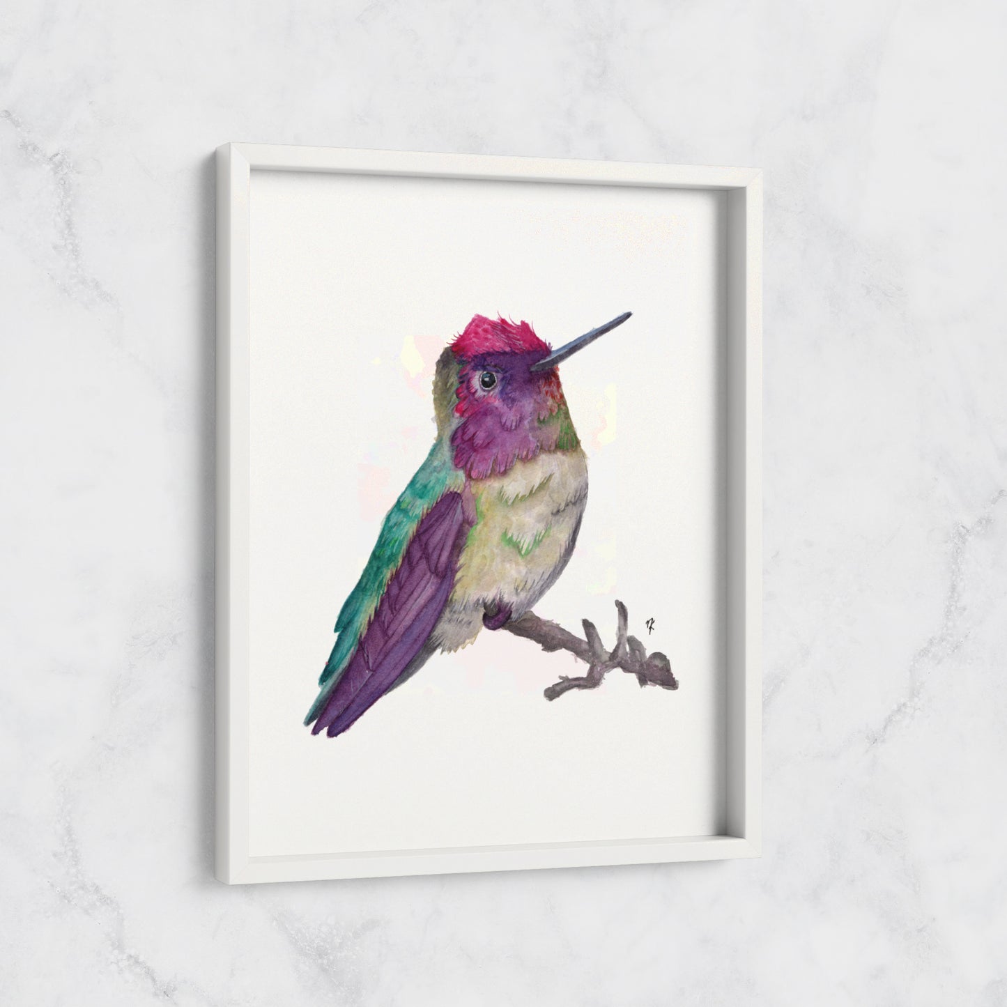 "Anna's Hummingbird" - Print