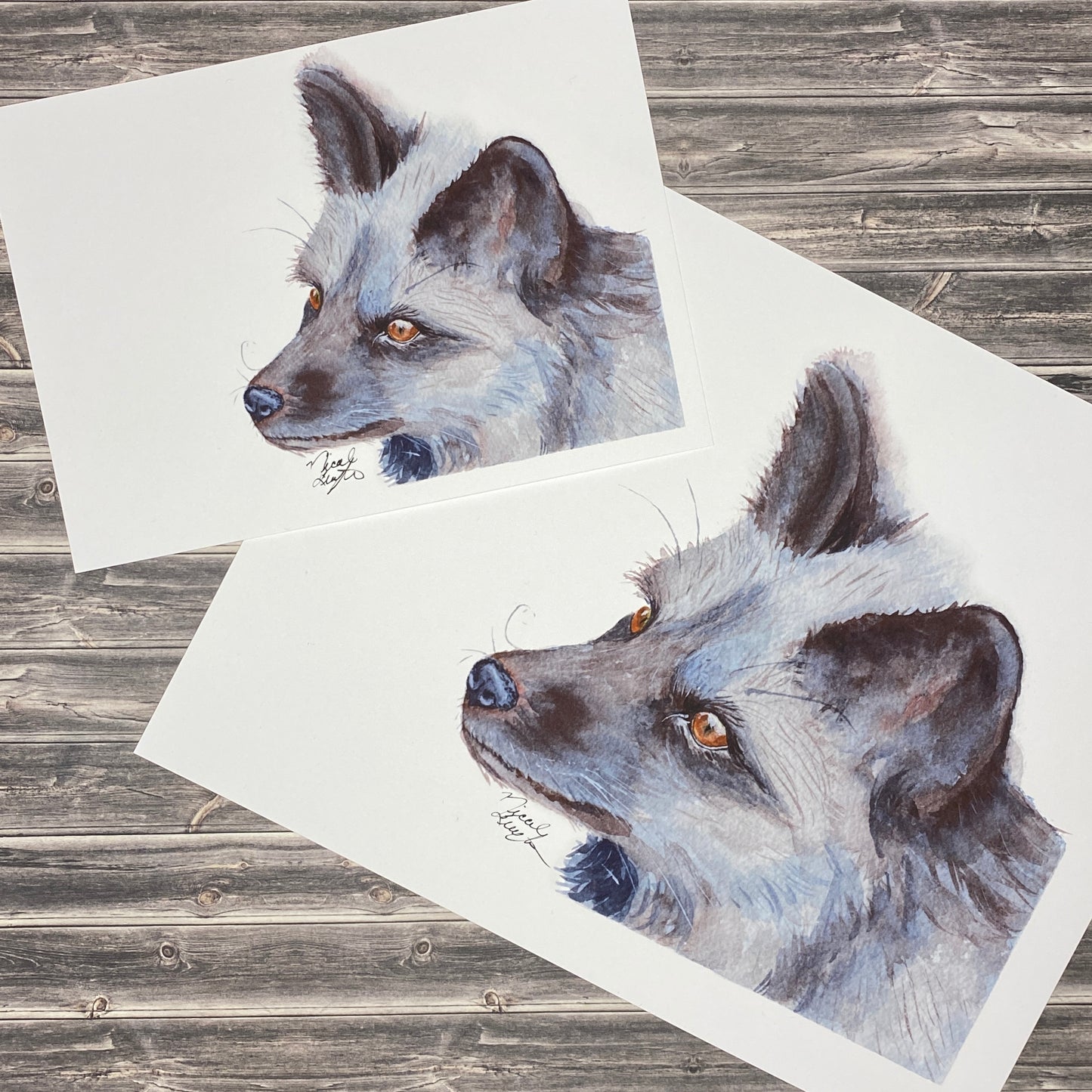 Black Fox Art Print