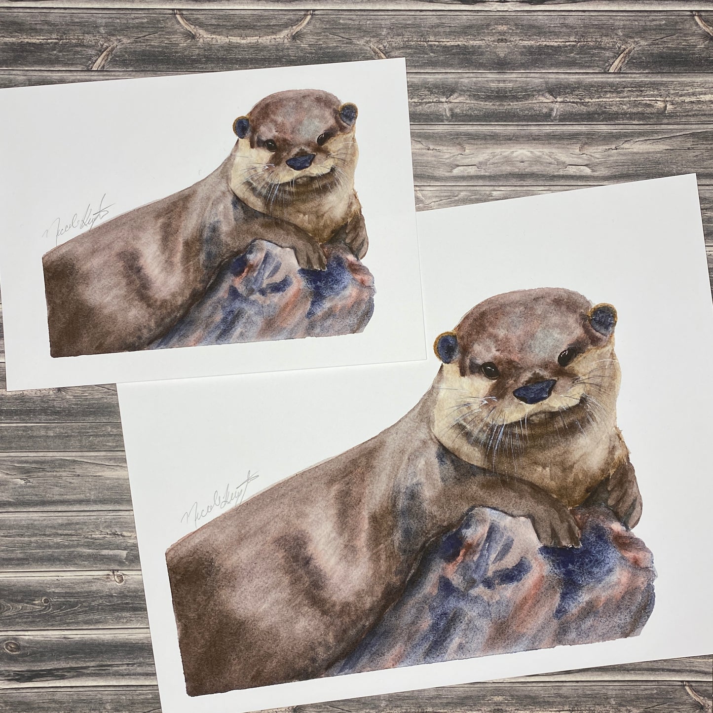 Otter - Print