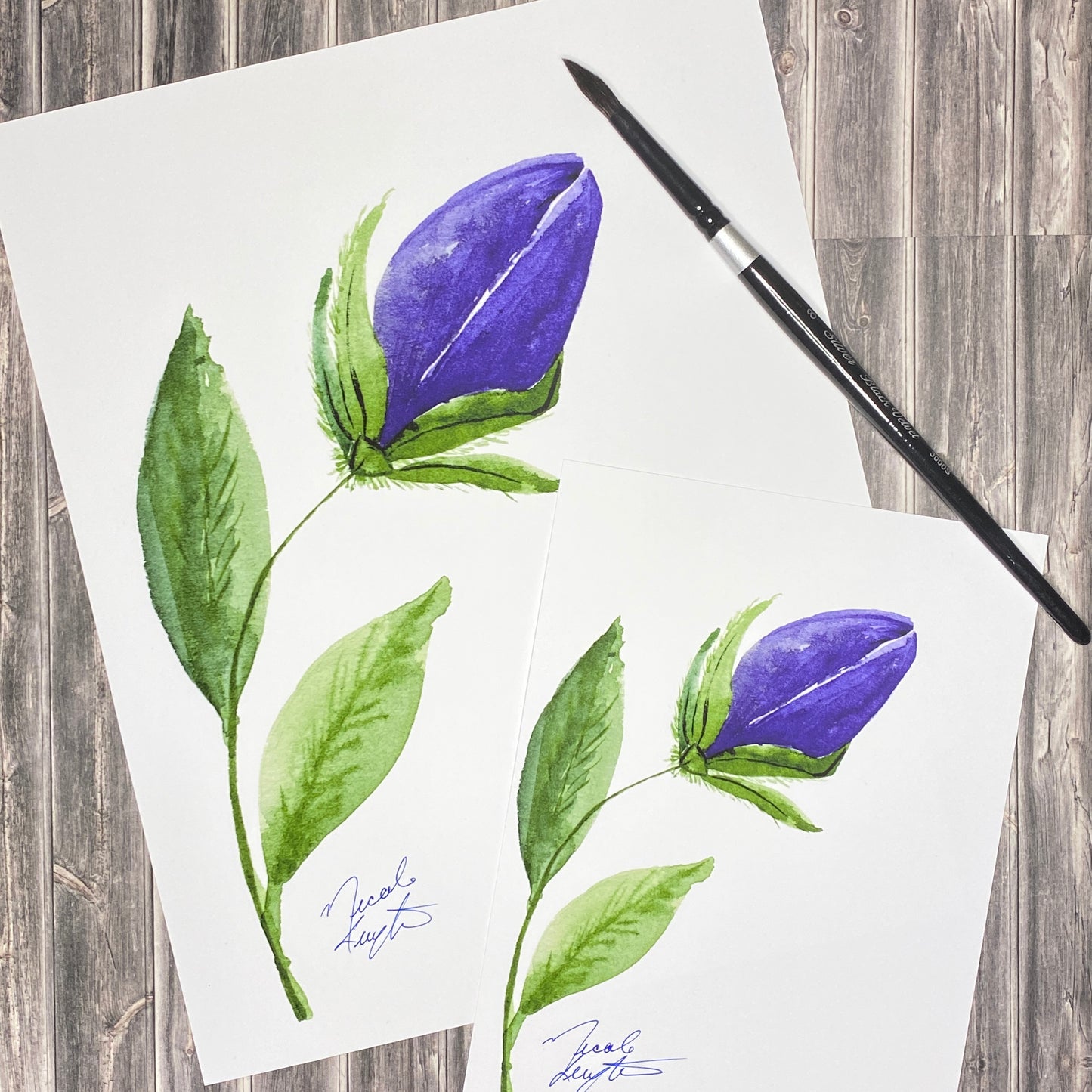 Purple Bell Flower - Print