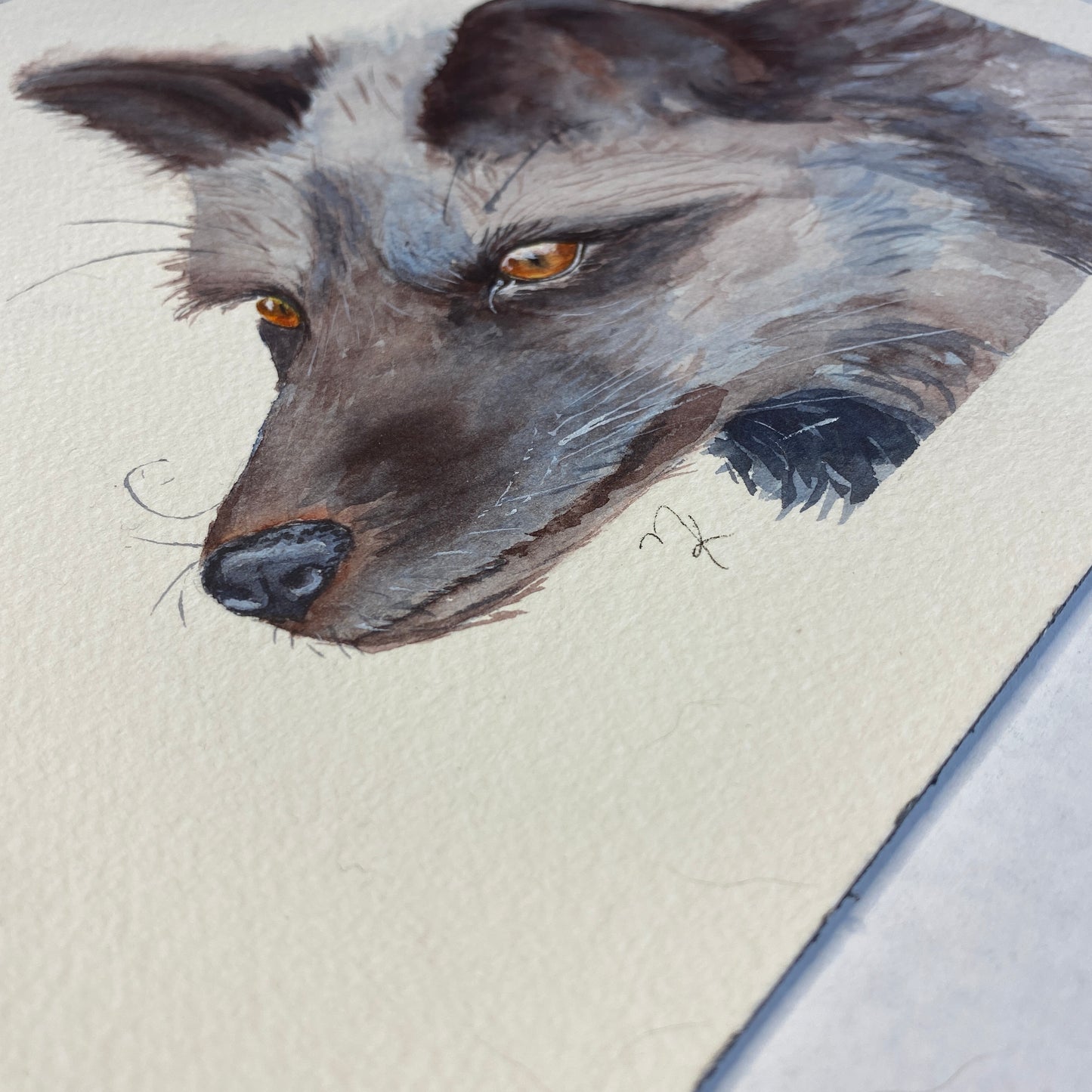 Red Fox Black Stage Original Watercolour Painting