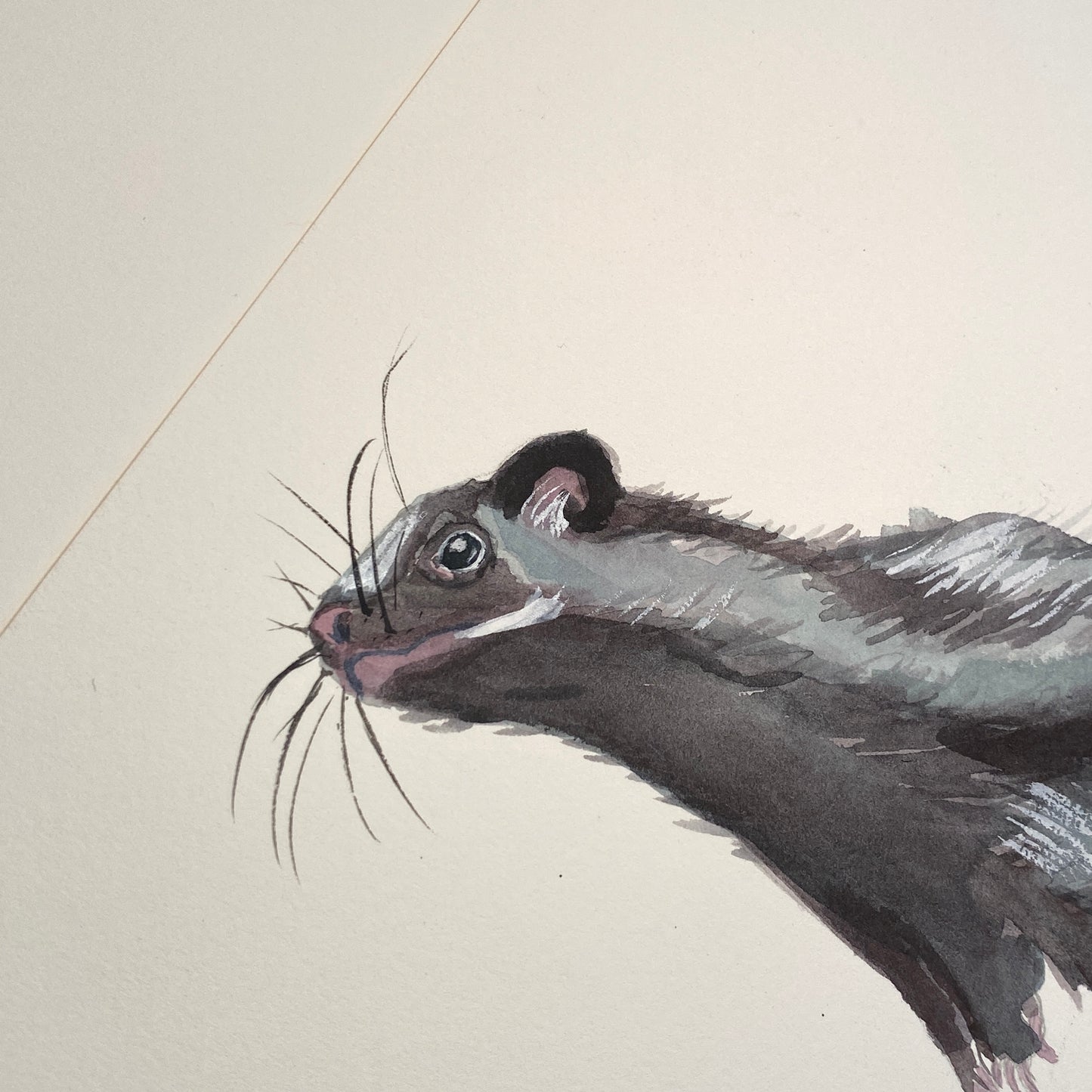 Skunk Original Watercolour Painting