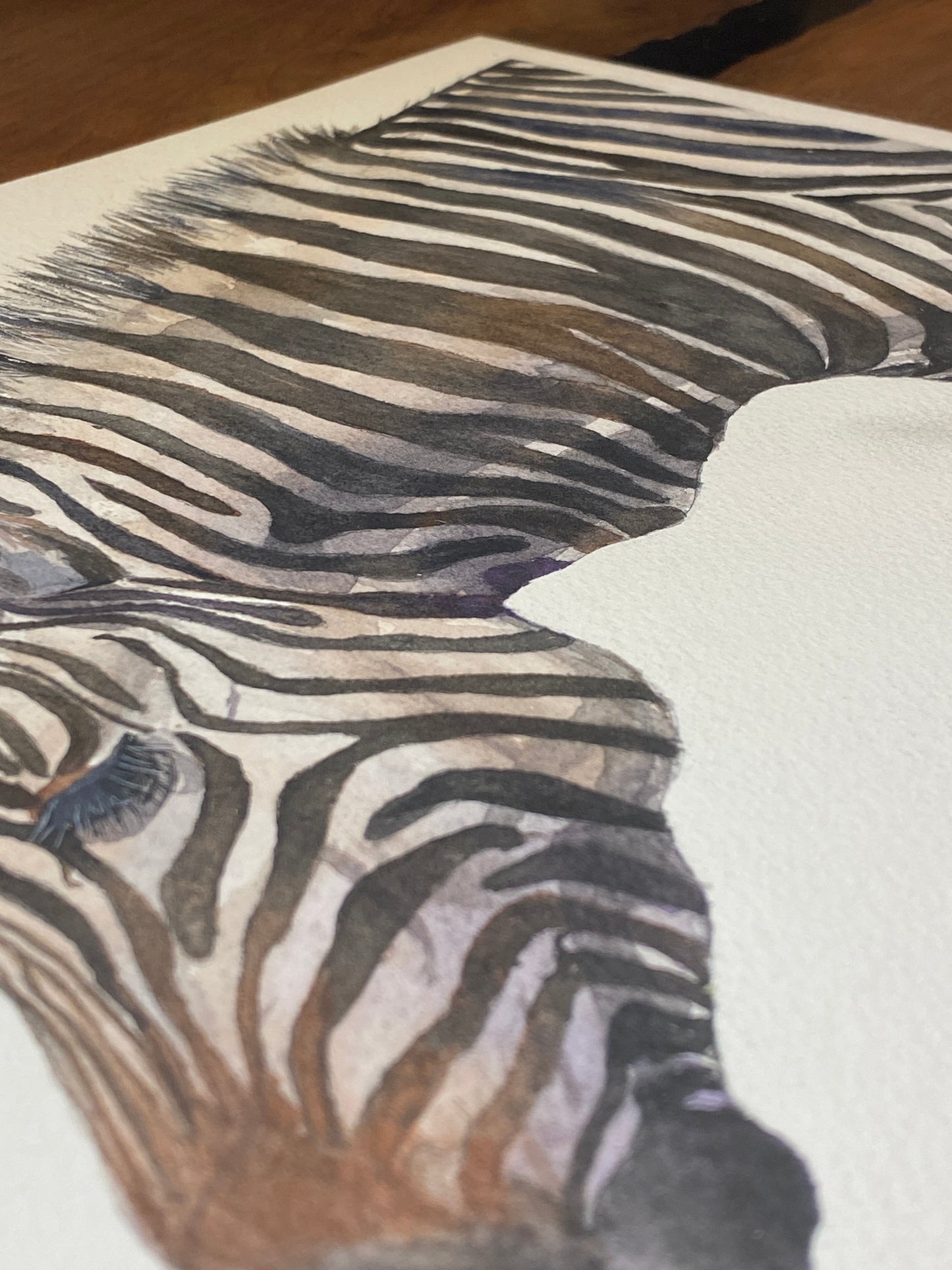 Zebra Original Watercolour Painting