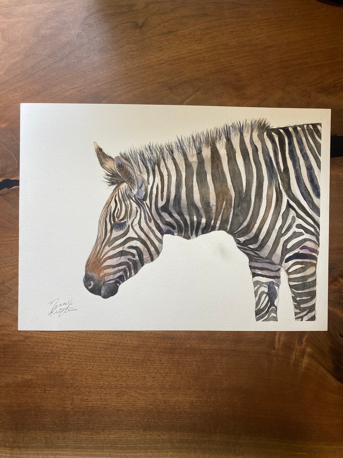 Zebra Original Watercolour Painting