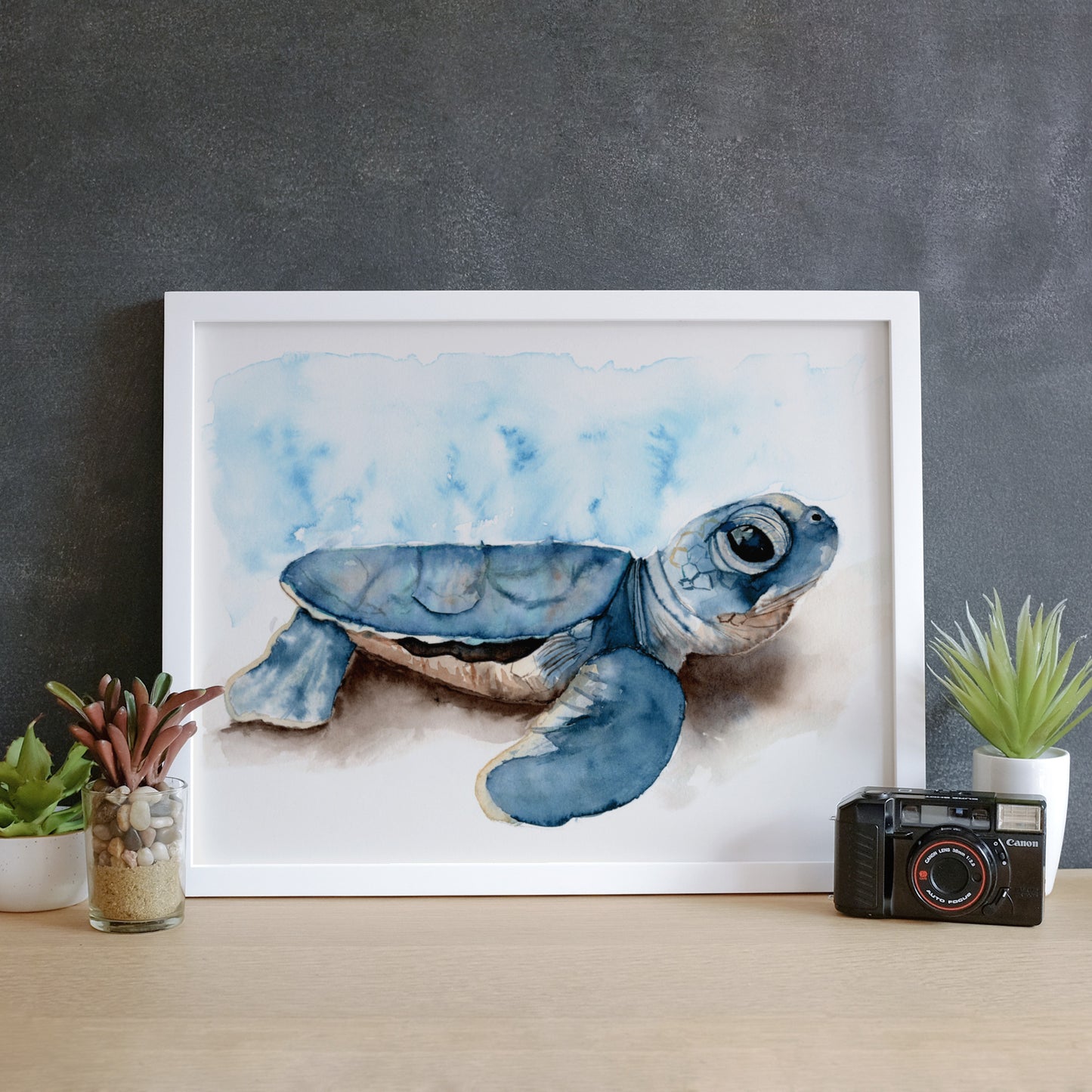 Baby Sea Turtle Print
