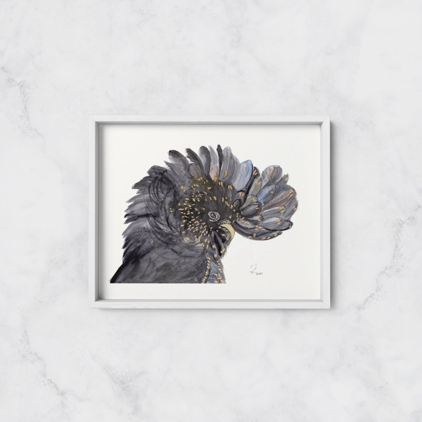 Black Cockatoo - Print