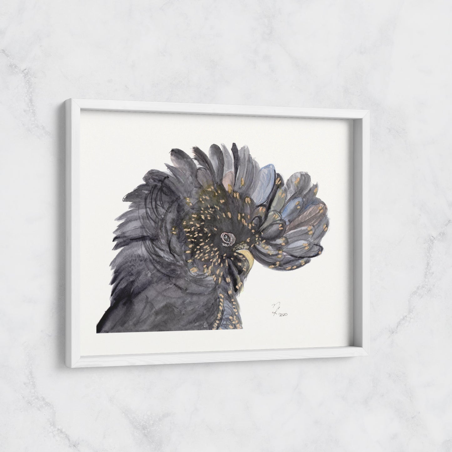 Black Cockatoo - Print