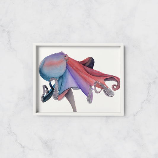 Octopus in Watercolour Art Print