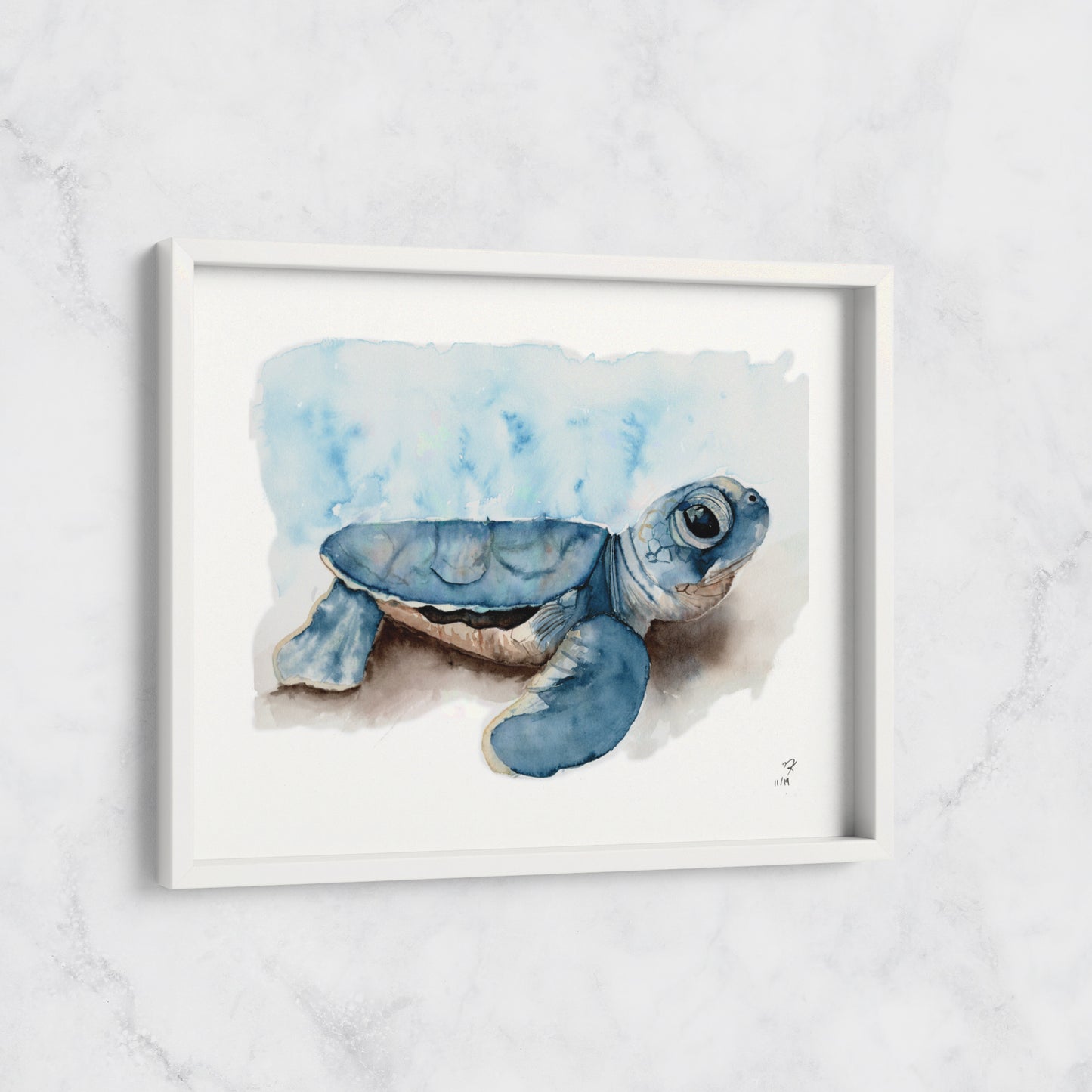 Baby Sea Turtle Print
