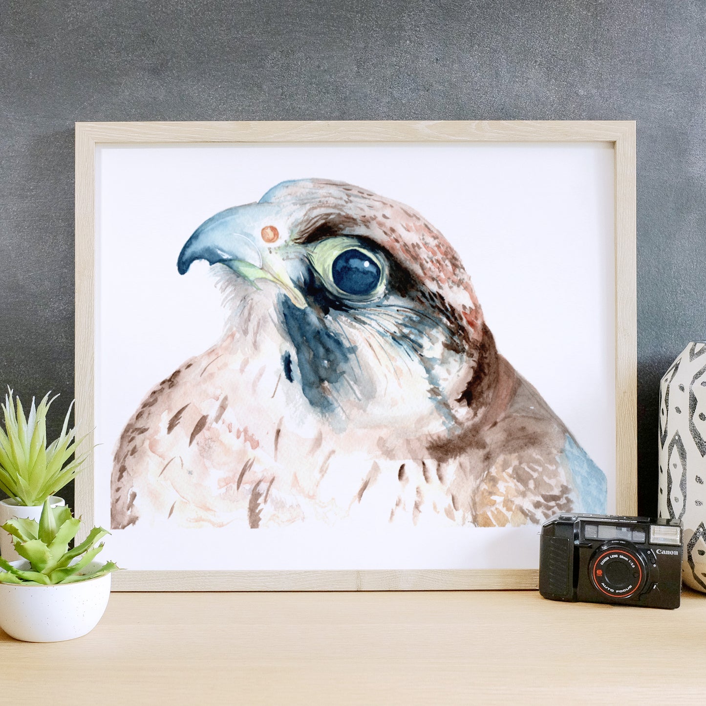 Falcon - Print