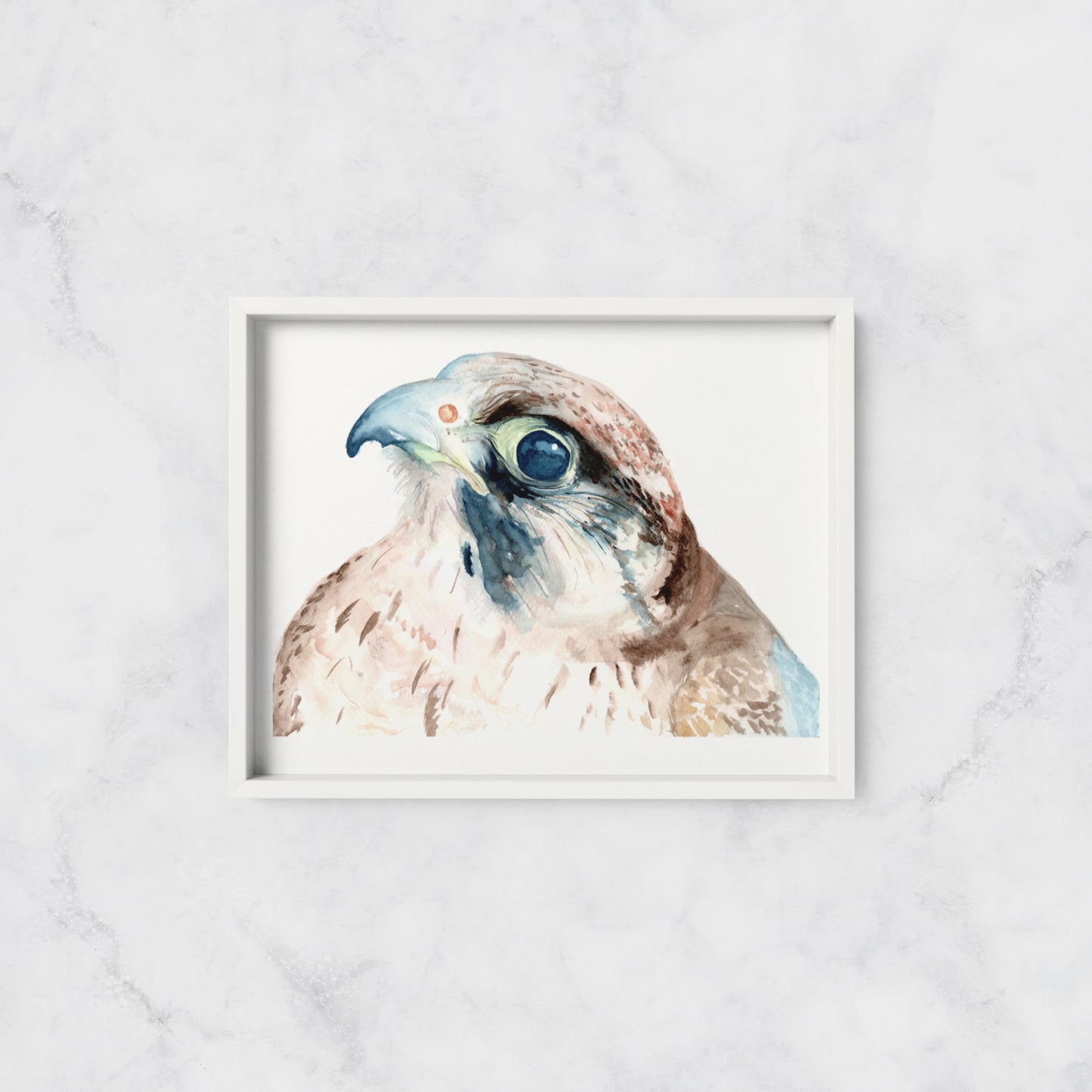 Falcon - Print