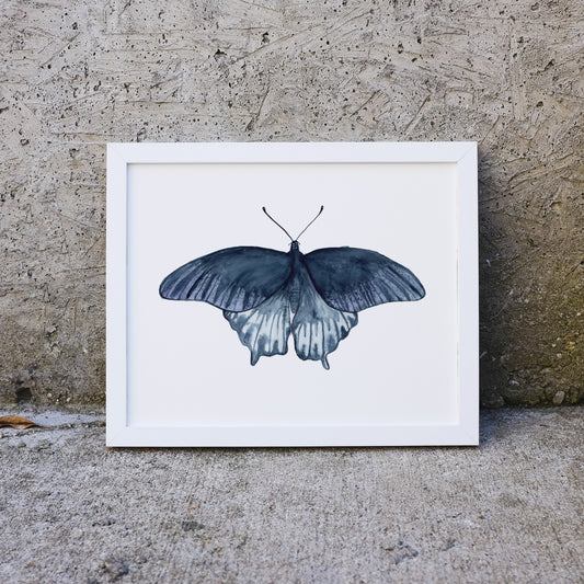 Indigo Butterfly - Print