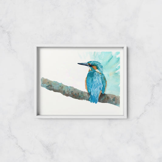 Kingfisher - Print