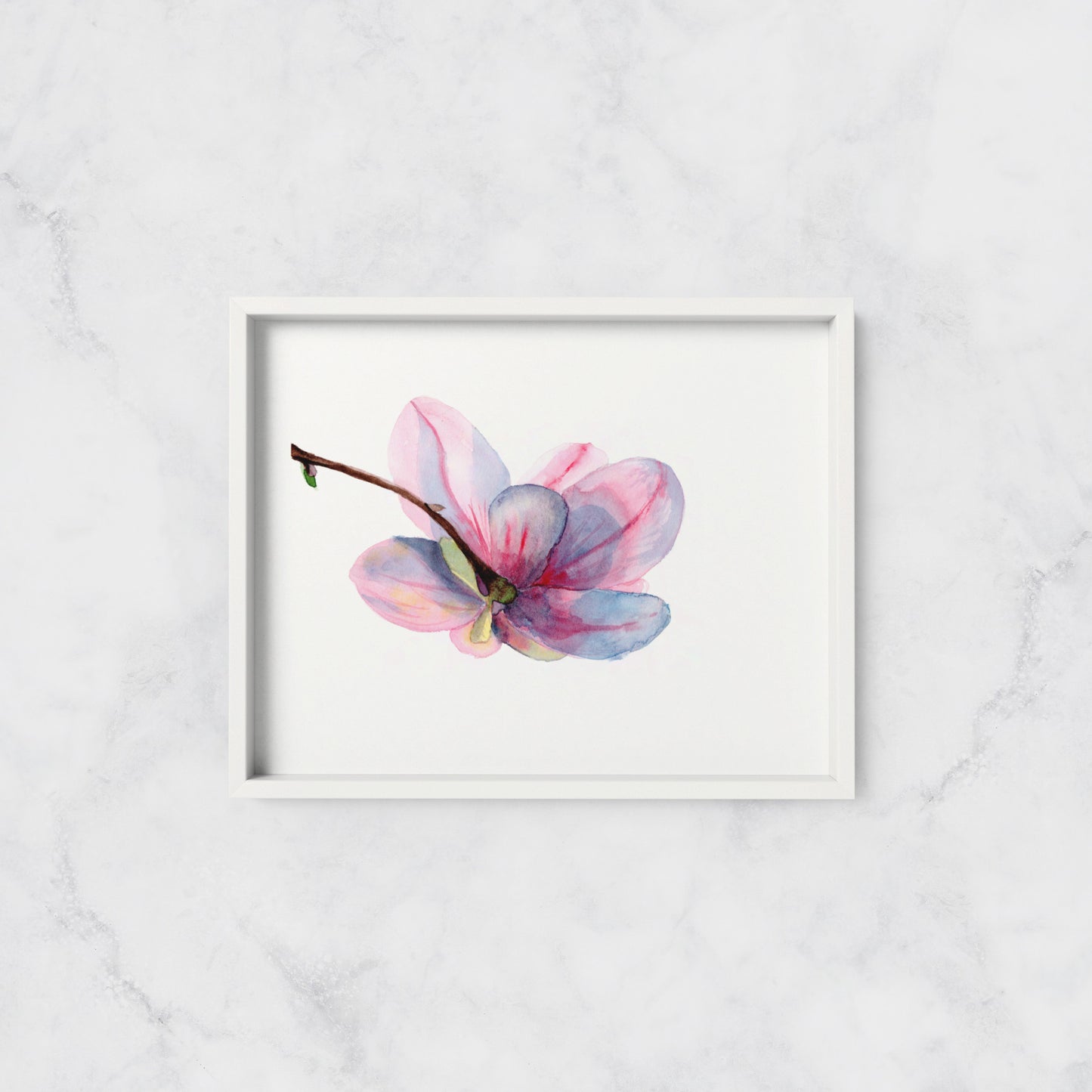 Magnolia Bloom - Print