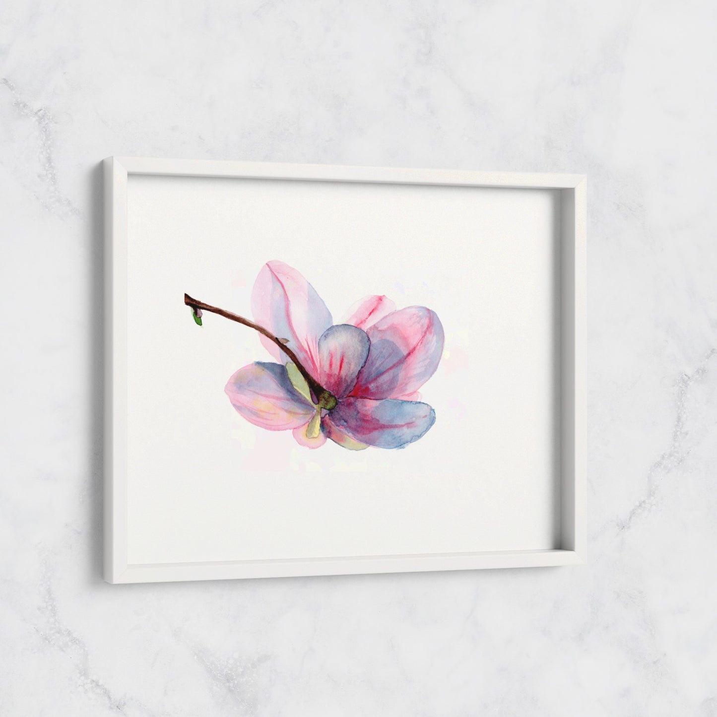 Magnolia Bloom - Print