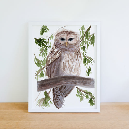 Owl (The Watcher) - Print