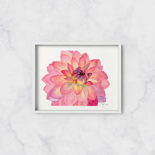 Pink Dahlia - Print