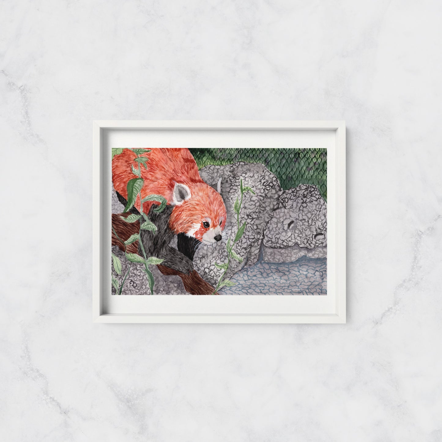 Red Panda - Print