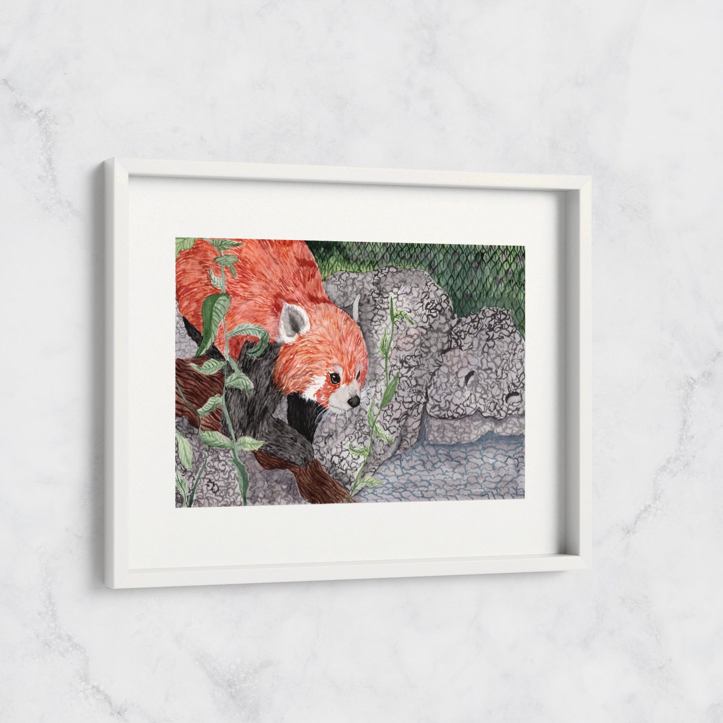 Red Panda - Print