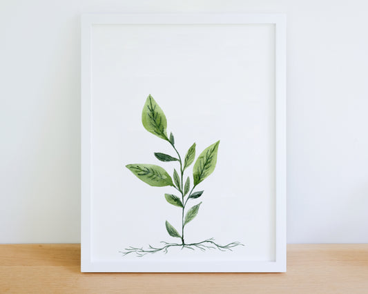 Sapling Watercolour Art Print