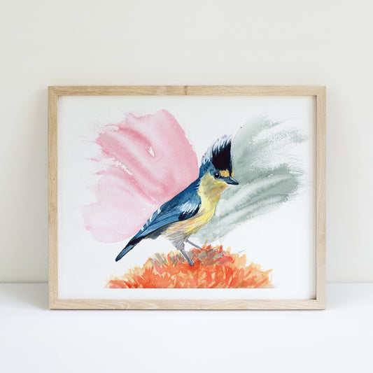 Yellow Tit - Print