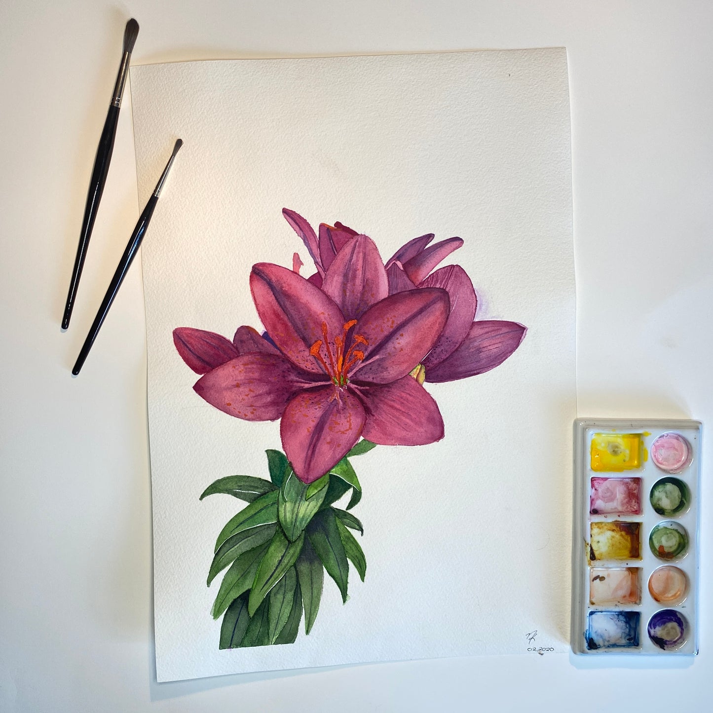 Asiatic Lily Original Watercolour Painting